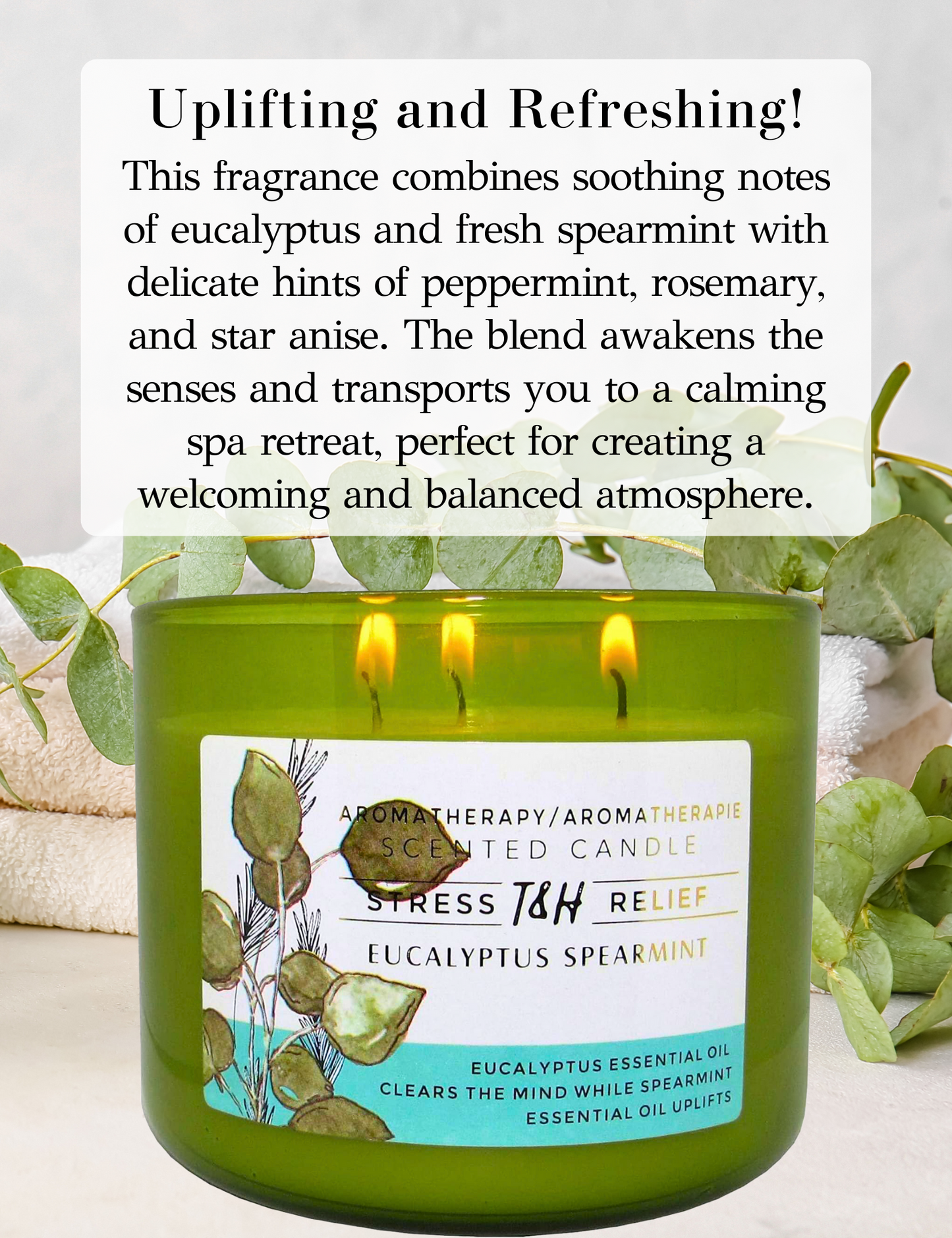 Eucalyptus Spearmint Soy Candle 3-Wick
