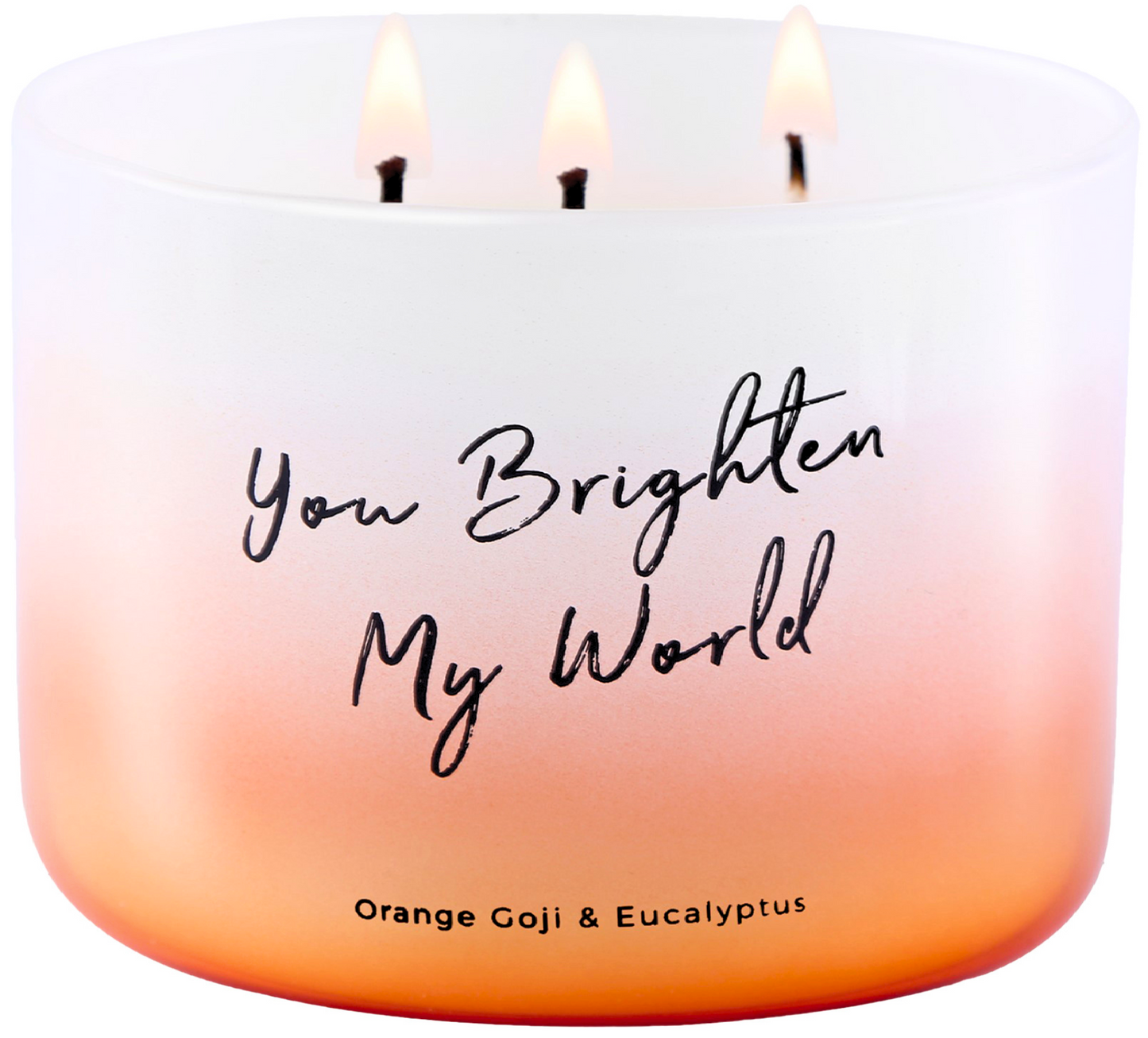 Orange Goji Eucalyptus Soy Candle 3-Wick