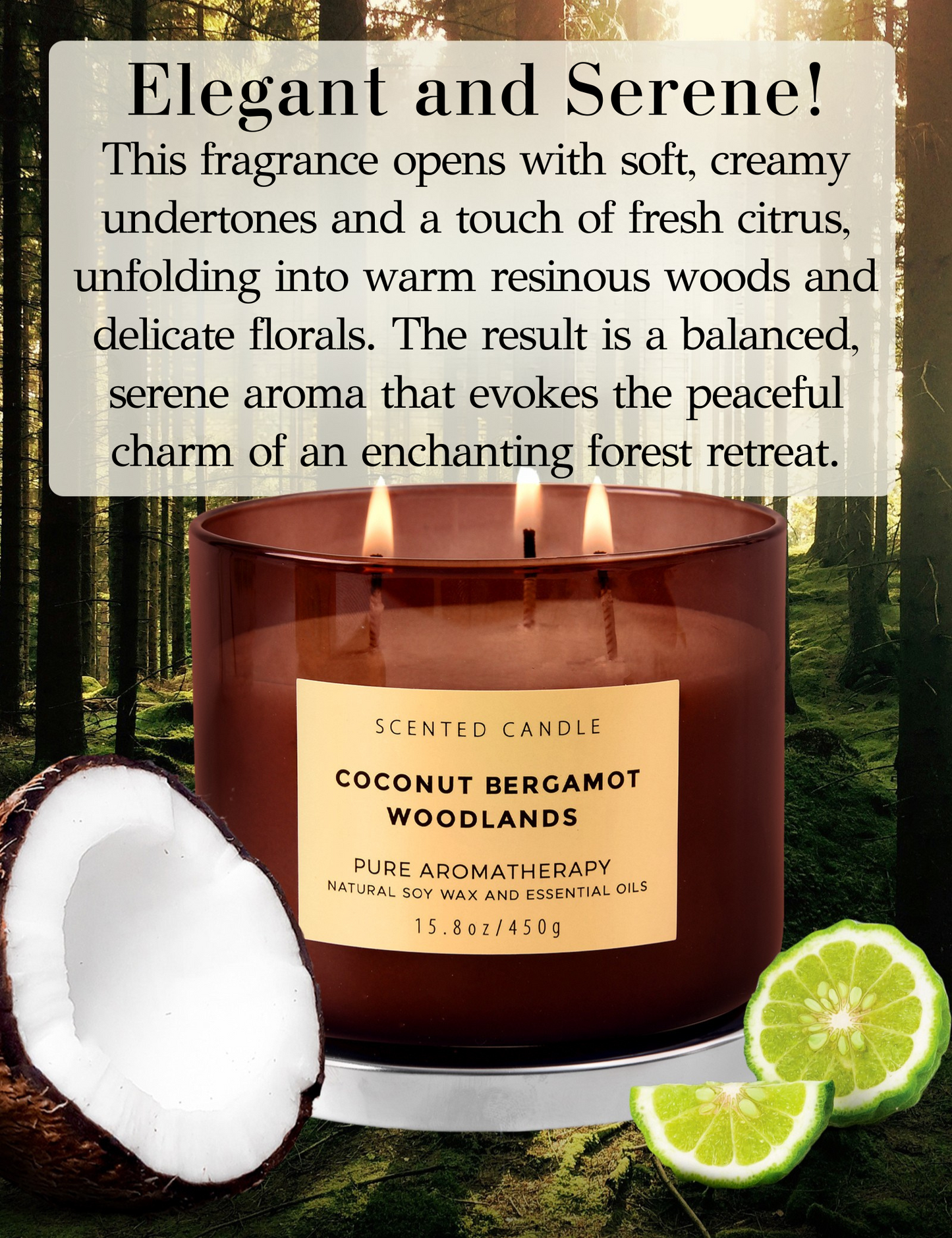 Coconut Bergamot Woodlands Soy Candle 3-Wick