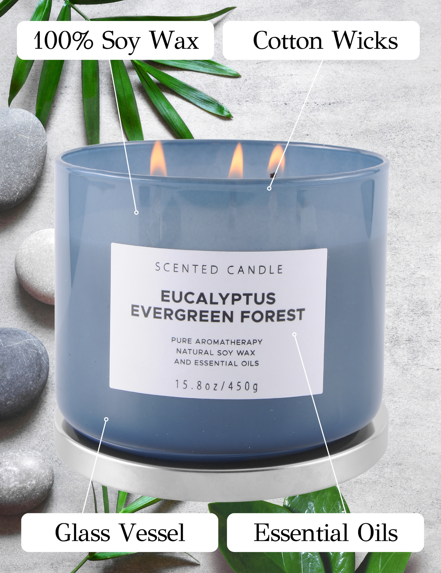 Eucalyptus Evergreen Forest Soy Candle 3-Wick