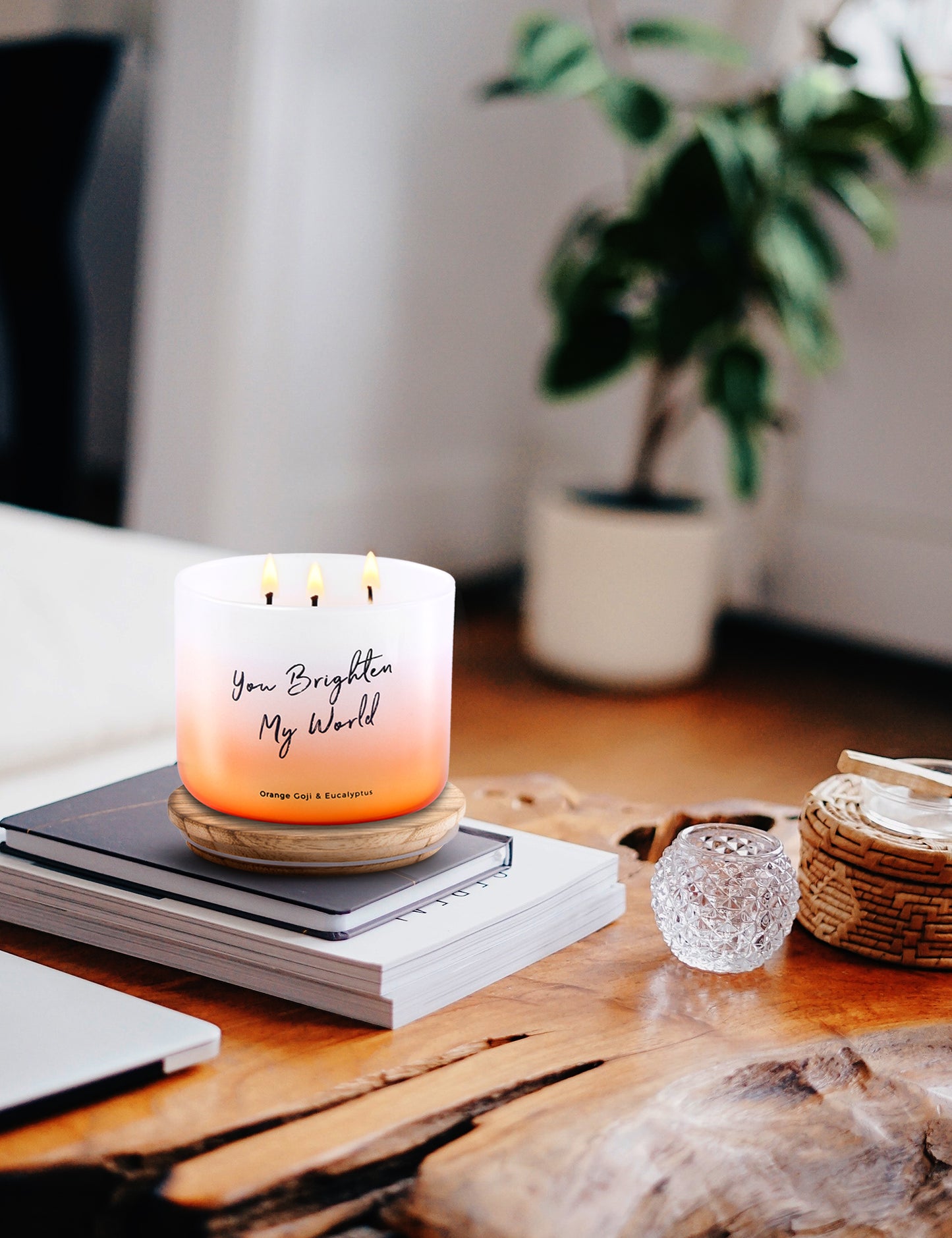 Orange Goji Eucalyptus Soy Candle 3-Wick