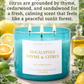 Eucalyptus Thyme Citrus Scented Soy Candle 3-Wick