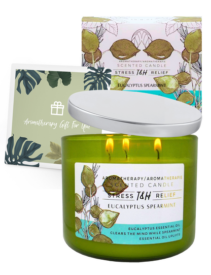Eucalyptus Spearmint Soy Candle 3-Wick
