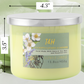 Eucalyptus Jasmine Lavender Soy Candle 3-Wick