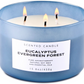 Eucalyptus Evergreen Forest Soy Candle 3-Wick