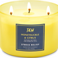 Honeysuckle Citrus Soy Candle 3-Wick