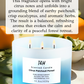 Citrus Patchouli Forest Soy Candle 3-Wick