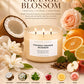 Coconut Orange Blossom Soy Candle | 3-Wick