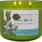 Eucalyptus Spearmint Soy Candle 3-Wick