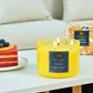 Honeysuckle Citrus Soy Candle 3-Wick