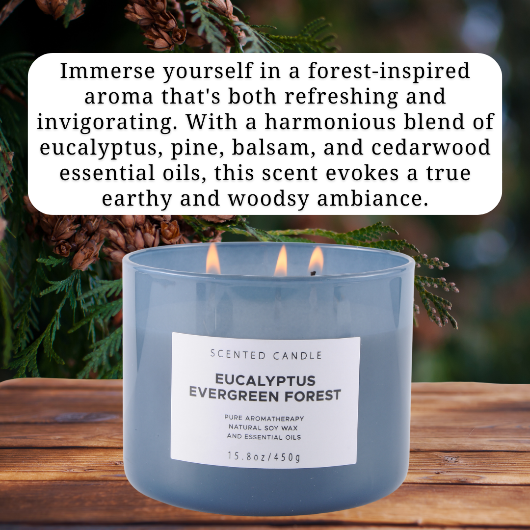 Eucalyptus Evergreen Forest Scented Soy Candle 3-Wick
