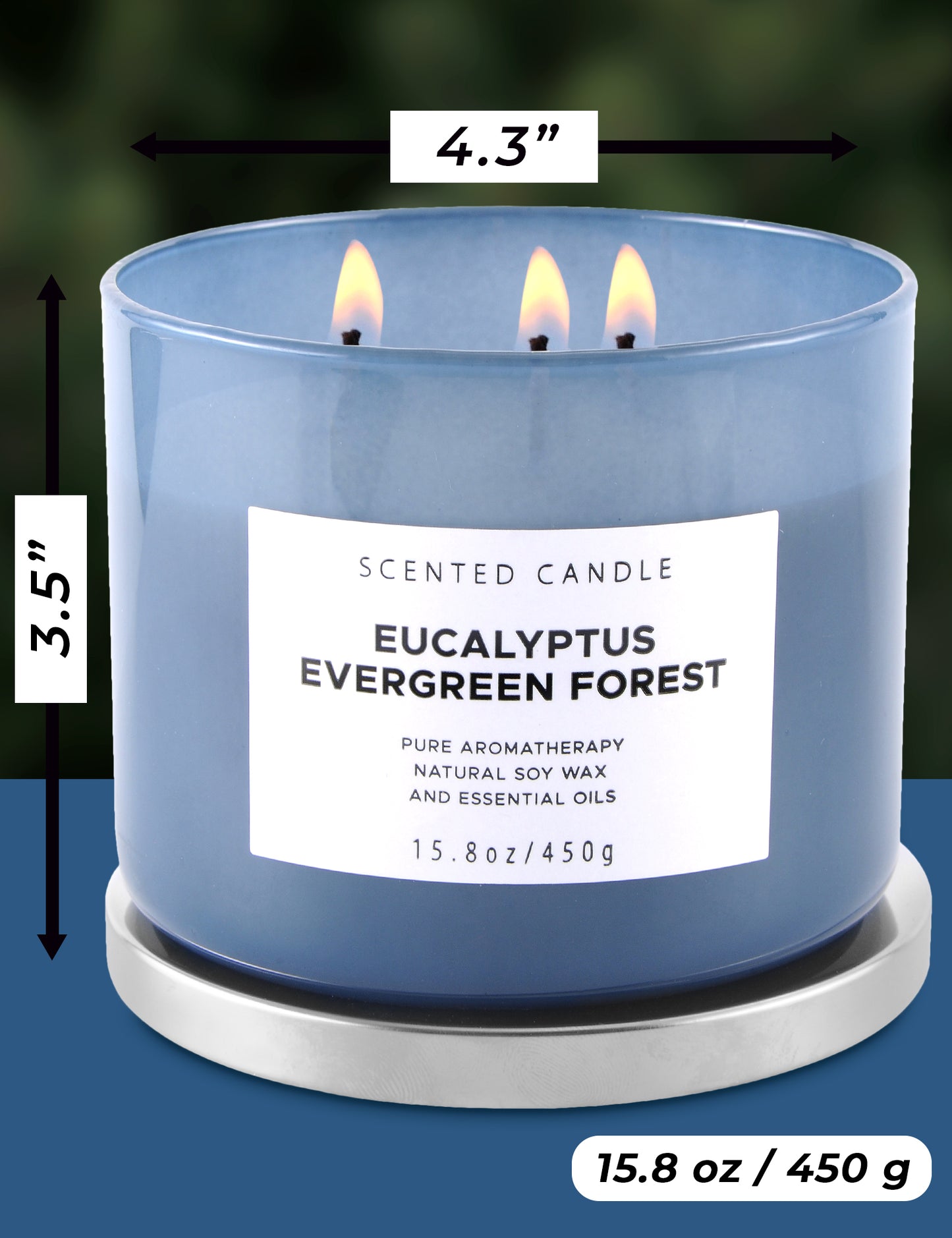 Eucalyptus Evergreen Forest Soy Candle 3-Wick