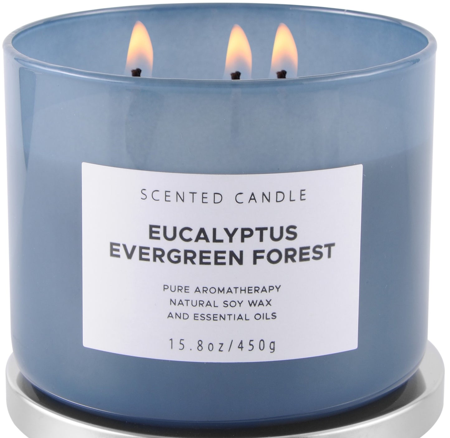 Eucalyptus Evergreen Forest Scented Soy Candle 3-Wick