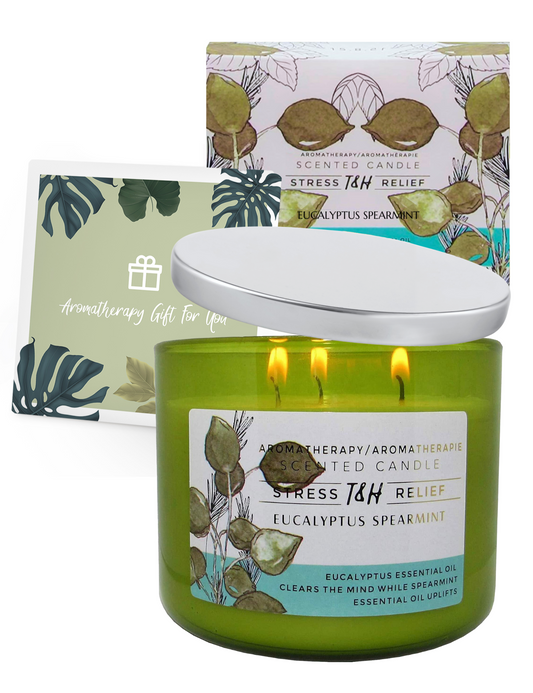 Eucalyptus Spearmint Scented Soy Candle 3-Wick