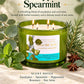 Eucalyptus Spearmint Soy Candle | 4-Wick