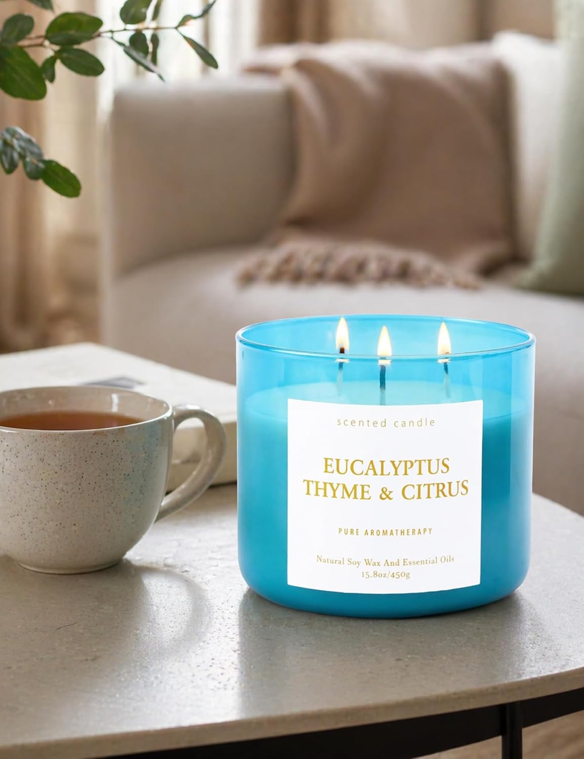 Eucalyptus Thyme Citrus Soy Candle | 3-Wick