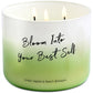 Green Apple & Peach Blossom Soy Candle 3-Wick