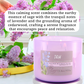 Sage Lavender & Cedarwood Scented Soy Candle 3-Wick