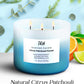 Citrus Patchouli Forest Soy Candle 3-Wick
