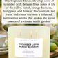 Cucumber Lily Neroli Blossom Soy Candle 3-Wick