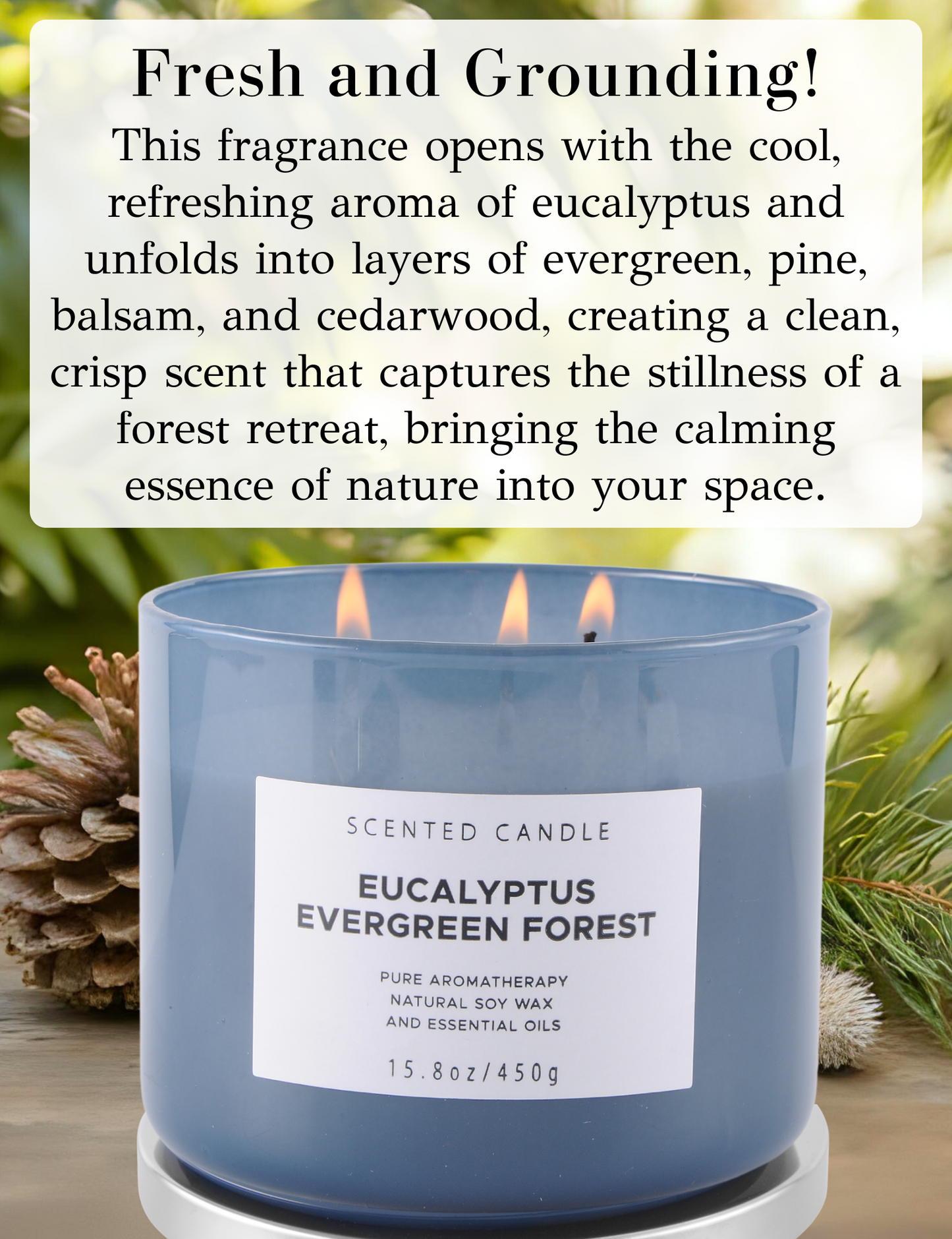 Eucalyptus Evergreen Forest Soy Candle 3-Wick