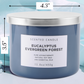 Eucalyptus Evergreen Forest Soy Candle 3-Wick