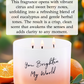Orange Goji Eucalyptus Soy Candle 3-Wick
