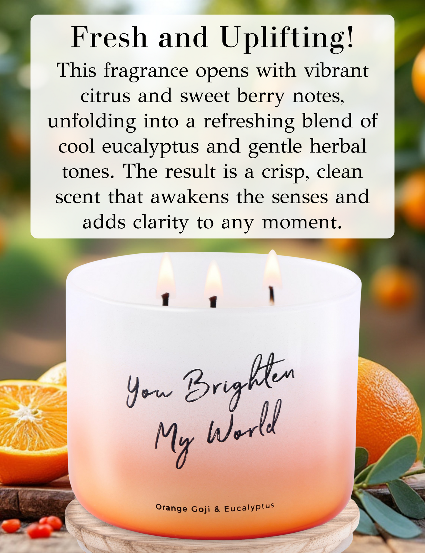 Orange Goji Eucalyptus Soy Candle 3-Wick