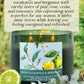 Fresh Eucalyptus Bergamot Soy Candle 3-Wick