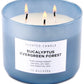 Eucalyptus Evergreen Forest Soy Candle 3-Wick