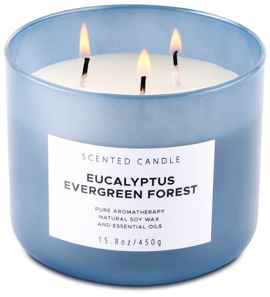 Eucalyptus Evergreen Forest Soy Candle 3-Wick