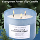 Eucalyptus Evergreen Forest Soy Candle 3-Wick