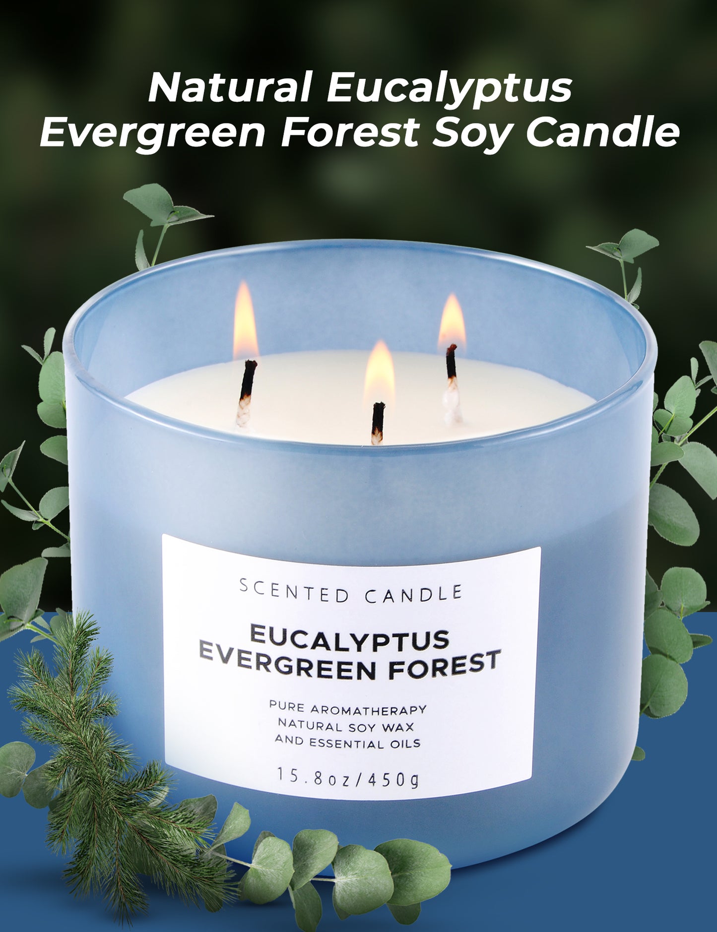 Eucalyptus Evergreen Forest Soy Candle 3-Wick